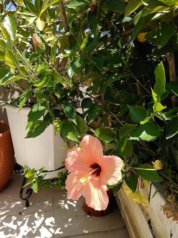 Nikita Traditional House Villa Khania Rom bilde